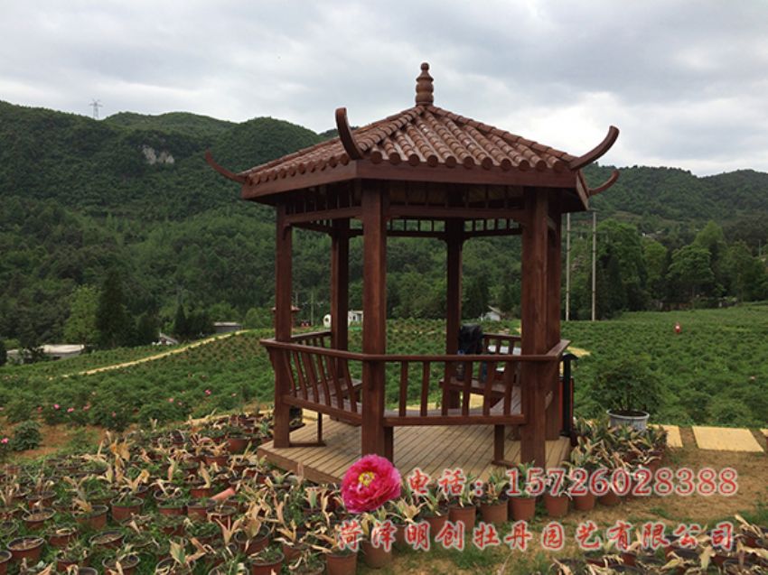 点击查看详细信息<br>标题：承建贵州牡丹园 阅读次数：3194