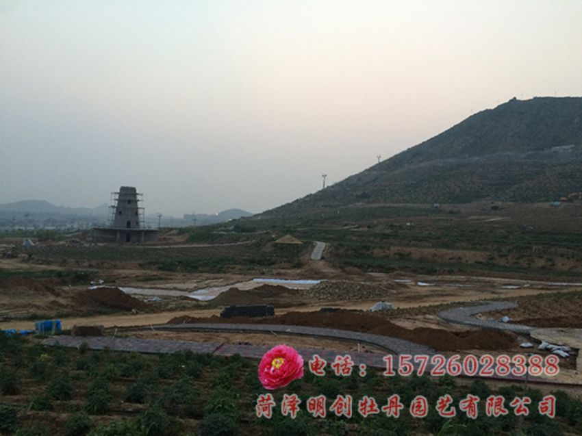 点击查看详细信息<br>标题：承建河北邯郸牡丹园 阅读次数：3716