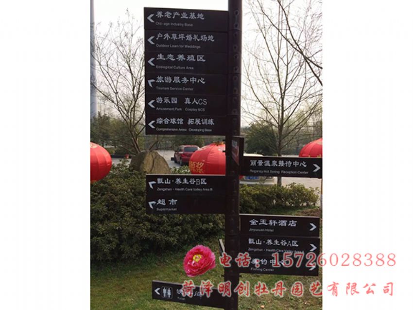 点击查看详细信息<br>标题：芜湖牡丹园一角 阅读次数：3470